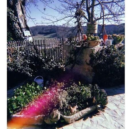 산지미냐노 La Casina Di Ancicucco 1 아파트 외부 사진